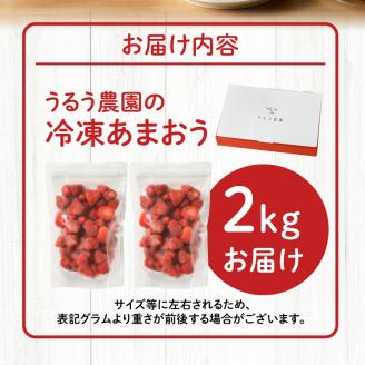 【2026年2月以降お届け】うるう農園の冷凍あまおう2kg_あまおう 2kg 冷凍 甘い 濃厚 新鮮 いちごの王様 うるう農園 いちご 果物 アレンジ おやつ フルーツ スイーツ スムージー ジャム アイス けずり苺 お取り寄せ お取り寄せグルメ 福岡県 久留米市 送料無料_Fi204