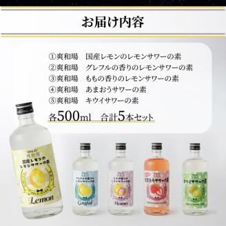 爽和場（サワーバー） 飲み比べ5本セット_爽和場 サワーバー 5種類 飲み比べ 500ml 5本 セット レモンサワーの素 割るだけ 糖類ゼロ プリン体ゼロ レモン グレープフルーツ もも キウイ あまおう レモンサワー サワー リキュール お酒 福岡 久留米 送料無料_Ew006 5種5本