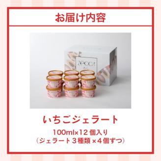 いちごジェラート詰め合わせ(12個入り)_いちご ジェラート 3種類 × 各 4個 100ml 計 12個 詰め合わせ プレミアム いちごミルク あまおう ヨーグルト ホワイトショコラ 紅ほっぺ 煌めく シャーベット かおりの 恋みのり さがほのか ブレンド 誕生日 お中元 ギフト用 おすすめ 久留米市 送料無料_Dw014
