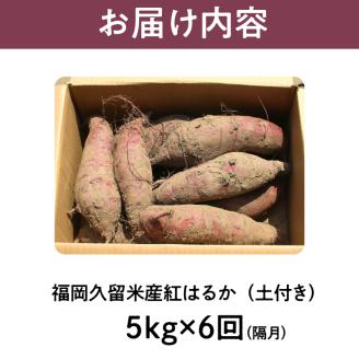 【福岡県久留米市産】熟成さつまいも（紅はるか）5kg ＜定期便－2ヶ月毎に6回お届け＞_Tk011
