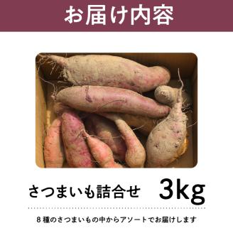 芋ガチャ訳あり 熟成さつまいも3kg_【訳あり】久留米市産 さつまいも 3kg 芋 ガチャ 栽培期間中農薬不使用 熟成 甘い 美味しい おやつ スイーツ バラエティ 紅はるか シルクスイート 国産 常温発送 国産 九州 福岡県 久留米市 お取り寄せ お取り寄せグルメ 送料無料_Gx052