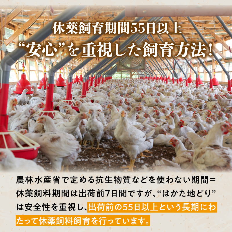 はかた地どり一口チキンカツ_はかた地どり 一口 チキンカツ 1.8kg 地鶏 チキン カツ 鶏肉 国産 おかず 冷凍 冷凍食品 お弁当 サクサク 揚げるだけ 簡単調理 お手軽 おつまみ 肉 九州産 惣菜 揚げ物 フライ カツサンド  農事組合法人福栄組合 福岡県 久留米市 お取り寄せ グルメ 送料無料_Ax105
