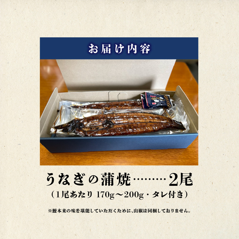 うなぎの蒲焼 2尾セット（特大サイズ 一尾 170g～200g）_うなぎ 蒲焼 2尾 セット 特大サイズ 一尾170g～200g たれ付き 鰻専門問屋 樋口商店 鹿児島 宮崎 国産 ジャポニカ種 真空パック ギフト お取り寄せ グルメ うな丼 うな重 ひつまぶし お土産 手土産 贈り物 プレゼント お中元 職人 送料無料_Cu001