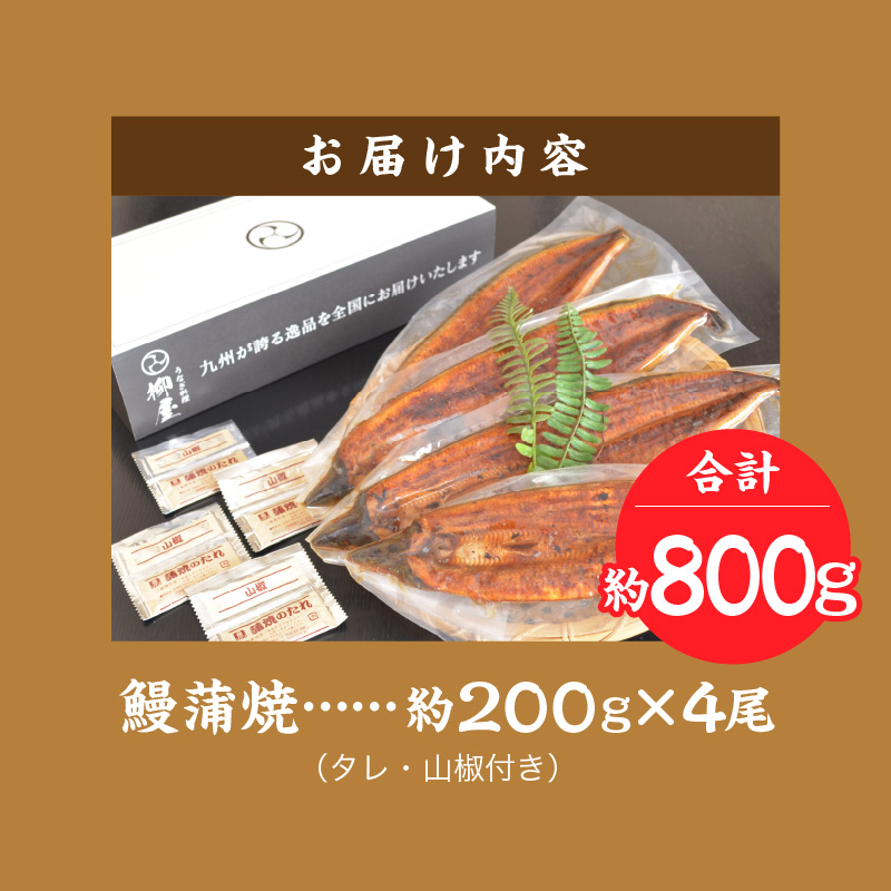 国産うなぎ蒲焼 200g×4尾_うなぎ 蒲焼 約200g × 4尾 計約800g 特大 独自 秘伝のタレ 山椒 付き 冷凍 うな丼 うな重 ひつまぶし お土産 ギフト 贈り物 国産 食品 食べ物 福岡県 久留米市 お取り寄せ お取り寄せグルメ 送料無料_Cu024