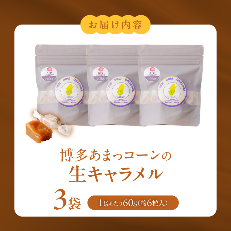 旬のとうもろこしの甘味をそのままに！博多あまっコーンの生キャラメル _ 博多あまっコーン 生キャラメル 60g 約6粒入り × 3袋 とうもろこし 酒見農産 岩塩入り キャラメル お菓子 洋菓子 スイーツ おやつ ティータイム 食品 加工品 お取り寄せ お取り寄せグルメ 福岡県 久留米市 送料無料 _Dw091