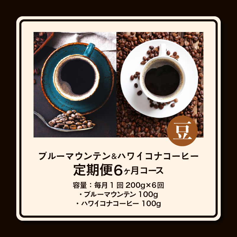ブルーマウンテン100g＆ハワイコナコーヒー100g 定期便6ヶ月コース 豆コース_Ec108-B