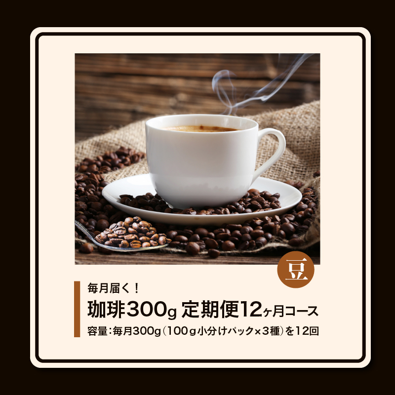 コーヒー300g 定期便12ヶ月コース 豆コース_定期便 12ヶ月 コーヒー 豆 各 100g 3種 合計 300g 小分け パック 飲み比べ 毎月 世界の生産地別のコーヒーが届く 産地 銘柄 発送時期によりランダムでお届け コーヒーブレイク コーヒータイム 飲み物 飲料類 お取り寄せ 送料無料_Ec110-B