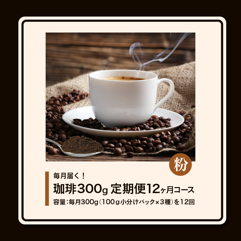 コーヒー300g 定期便12ヶ月コース 粉コース_定期便 12ヶ月 コーヒー 粉 各 100g 3種 合計 300g 小分け パック 飲み比べ 毎月 世界の生産地別のコーヒーが届く 産地 銘柄 発送時期によりランダムでお届け コーヒーブレイク コーヒータイム 飲み物 飲料類 お取り寄せ 送料無料_Ec110-P