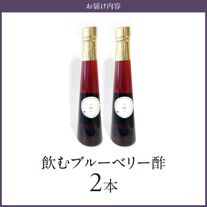 飲むブルーベリー酢　2本_お酢 ドリンク ブルーベリー 300ml 2本 飲むお酢 ブルーベリー酢 甘くて飲みやすい 希釈 3倍～5倍 果汁 アントシアニン 疲れ目予防 腸内環境改善 簡単 アレンジ 牛乳 炭酸 お酒 瓶 果実酒 お酢飲料 飲料 飲み物 健康 福岡県 久留米市 お取り寄せ 送料無料_Ex218