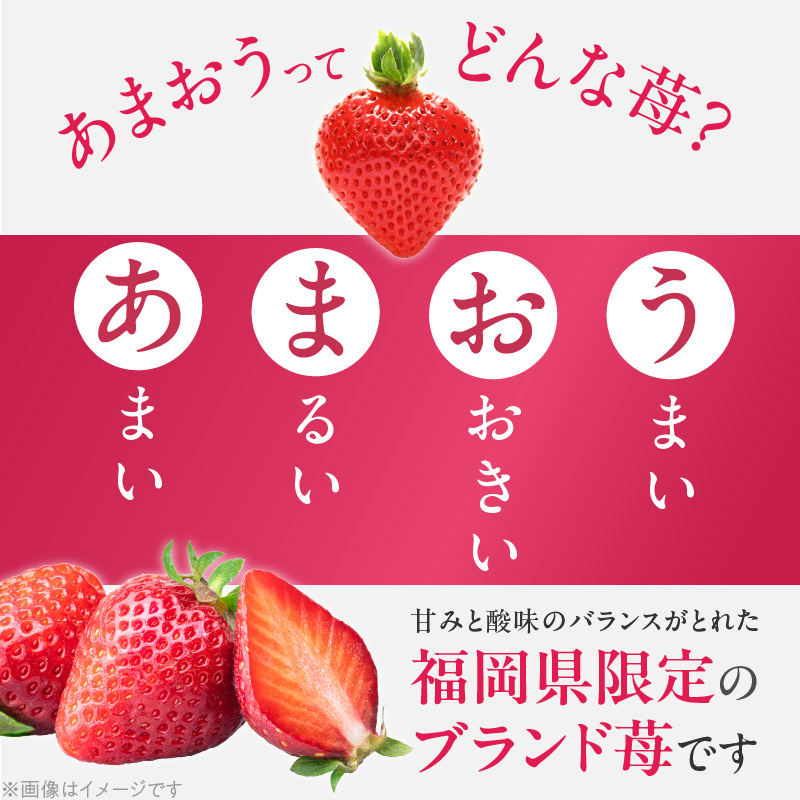 福岡県産 冷凍あまおう 摘みたて 1,500g(500g×3パック)_福岡県産 冷凍 あまおう 摘みたて 1,500g 500g × 3パック デザート 果物 いちご いちごの王様 冷凍いちご 食べ方いろいろ ヨーグルト アイス ジャム シャーベット スムージー ケーキ ドリンク お取り寄せ お取り寄せスイーツ 福岡県 久留米市 送料無料_Fi036