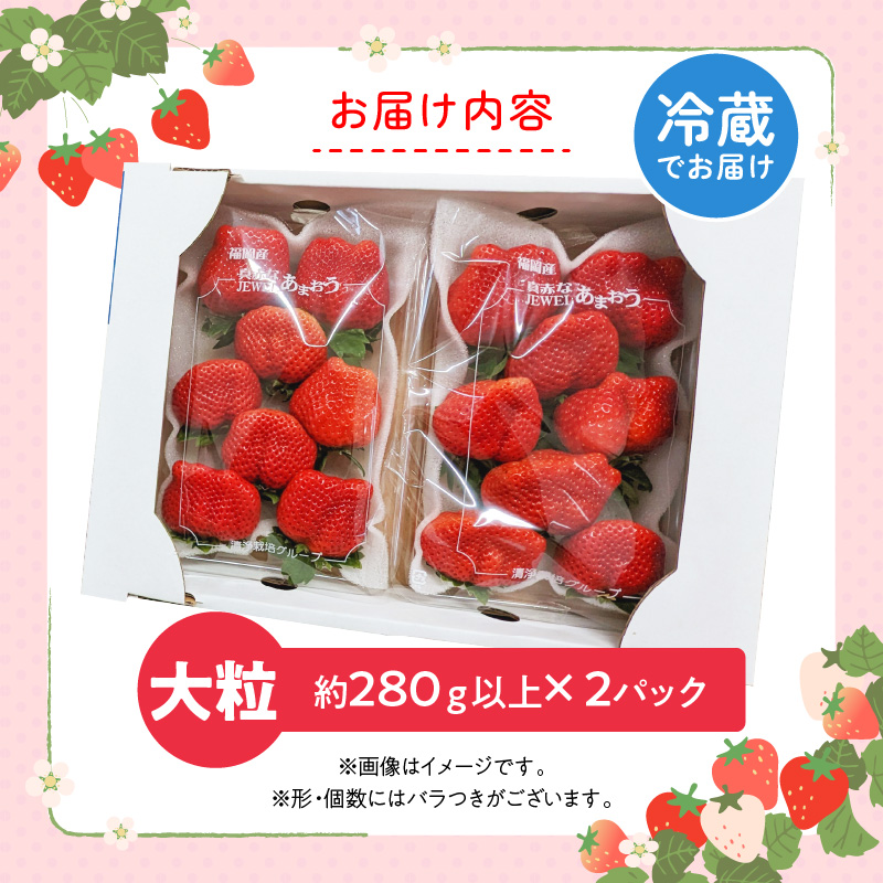 福岡県産あまおういちご　約280g以上×2パック（大粒）【12月〜2月発送】_いちご あまおう 約280g 以上 × 2パック 約560g 大粒 果物 フルーツ みずみずしい ジューシー 甘み 酸味 濃厚 ストロベリー パフェ ショートケーキ パンケーキ スムージー サンドイッチ ジャム お菓子作り 福岡県産 久留米市 お取り寄せ 送料無料_Fi054
