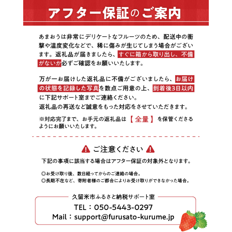 訳あり いちごの王様！【あまおう小粒もりもり】（４パック）１月から発送_【訳あり】 いちごの王様！【あまおう小粒もりもり】（４パック）１月から発送_Fi069