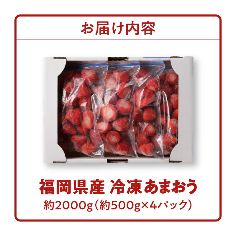 福岡県産 冷凍あまおう 2000g（500g×4パック）_いちご 冷凍 あまおう 合計約2000g 約500g × 4パック ヨーグルト アイス ジャム スムージー 果汁 栄養素 食物繊維 ビタミンＣ キシリトール カリウム 風邪予防 アンチエイジング 福岡県産 果物 フルーツ スイーツ 久留米市 お取り寄せ 送料無料_Fi210
