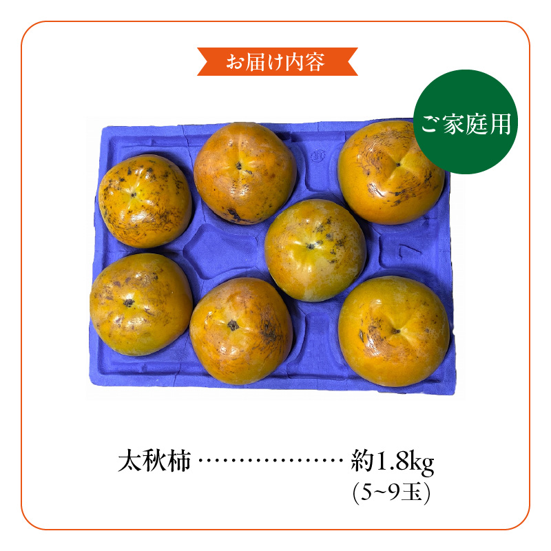 【訳あり品】【10月発送】池尻農園 太秋柿 5～9玉 約1.8kg ご家庭用_訳あり品 池尻農園 太秋柿 5 ～ 9玉 約 1.8kg ご家庭用 柿 10月 最盛期 完全甘柿 早生品種 大玉 甘み 強い シャキシャキ 食感 条紋 美味しさ 際立つ 種 少ない 食べやすい 人気 国産 九州産 フルーツ 果物 お取り寄せ 福岡県 久留米市_Fk015