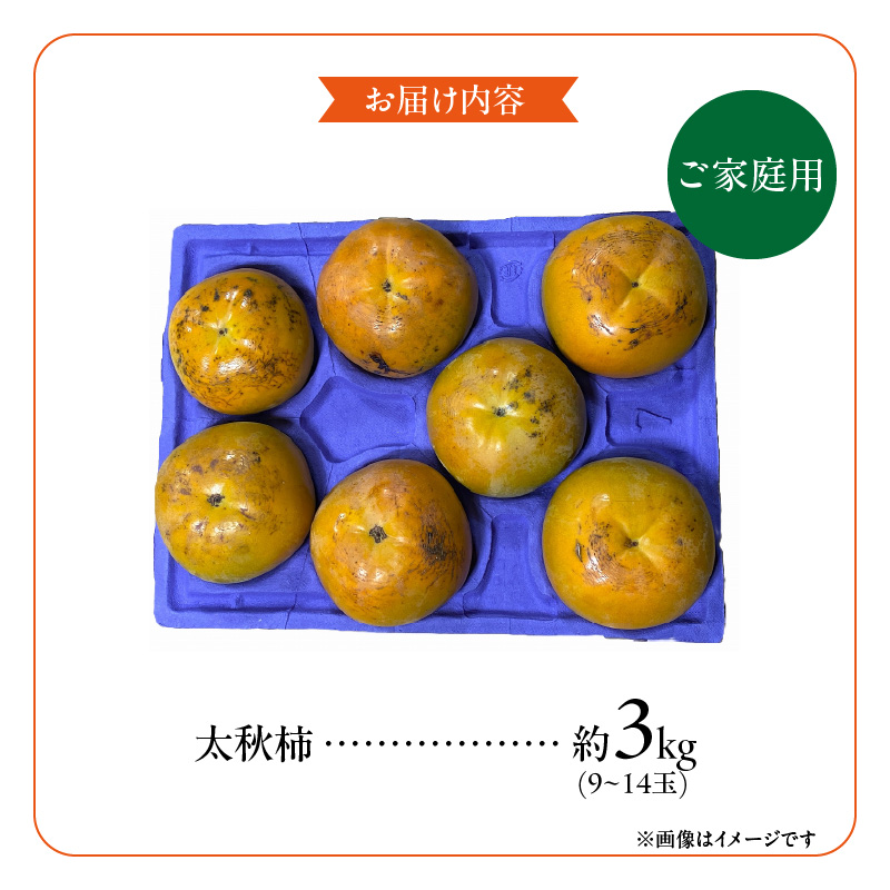 【訳あり品】【10月発送】池尻農園　太秋柿　9～14玉　約3kg　ご家庭用_訳あり品 太秋柿 9～14玉 約3kg ご家庭用 柿 甘柿 フルーツ 果物 スイーツ 甘い 条紋 10月最盛期 完全甘柿 早生品種 大玉 甘みが強い シャキシャキ 種が少ない 子供でも 食べやすい 福岡県 久留米市 送料無料_Fk016