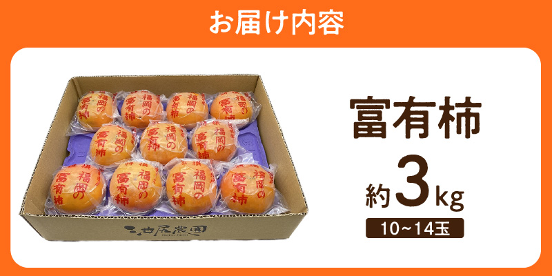 柿の王様 池尻農園 田主丸町の富有柿(冷蔵) 10玉～14玉 約3kg_柿 甘柿 富有柿 10玉 ～ 14玉 約 3kg 柿の王様 人気 高い 国産 フルーツ 果物 高品質 天皇への献上品 秋の味覚 名産地 冷蔵 スイーツ サラダ 旬 池尻農園 福岡県 久留米市 田主丸 お取り寄せ お取り寄せフルーツ 食品 食べ物 送料無料_Fk107