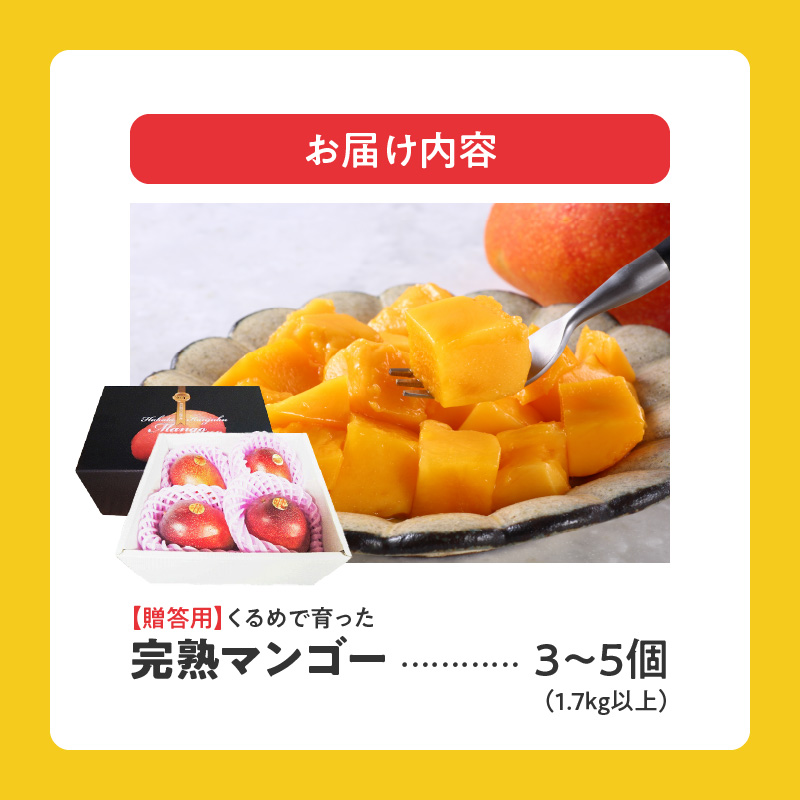 【2026年6月以降お届け】くるめで育った完熟マンゴー（3～5個：1.7kg以上）_先行予約 完熟マンゴー 3個 ～ 5個 1.7kg 贈答用 久留米産 とろける 甘い フルーツ トロピカルフルーツ 果物 マンゴー 完熟 高糖度 人気 国産 地植栽培 冷蔵 クール便 倉重農園 お取り寄せ お取り寄せフルーツ 食べ物 食品 福岡県 久留米市 送料無料_Fm012
