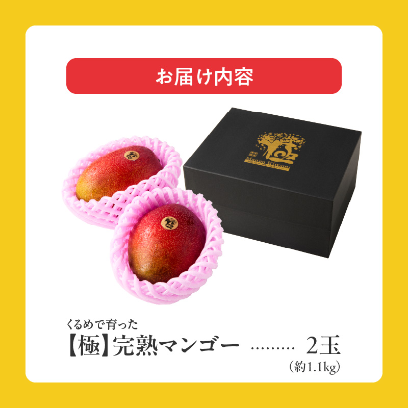 【2026年6月以降お届け】極　完熟マンゴー（2玉：約1.1kg）_完熟マンゴー 2玉 約 1.1kg 久留米産 平均糖度 17度～18度 完熟 マンゴー 国産 フルーツ トロピカルフルーツ 果物 デザート 冷蔵 クール便 お取り寄せ お取り寄せフルーツ 福岡県 久留米市 送料無料_Fm018