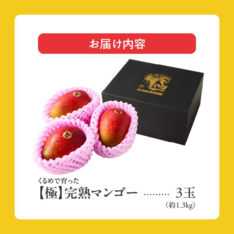 【2026年6月以降お届け】極　完熟マンゴー（3玉：約1.3kg）_完熟マンゴー 3玉 約 1.3kg 久留米産 平均糖度 17度～18度 完熟 マンゴー 国産 フルーツ トロピカルフルーツ 果物 デザート 冷蔵 クール便 お取り寄せ お取り寄せフルーツ 福岡県 久留米市 送料無料_Fm019