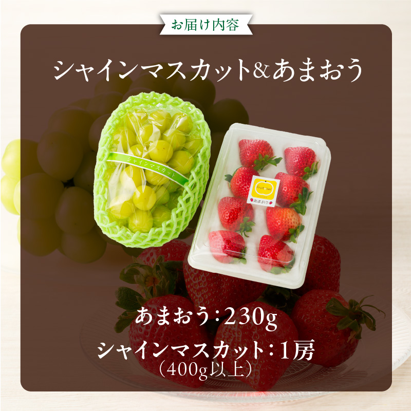 【2025年12月よりお届け】シャインマスカット（1房）、あまおう（1パック・コバヤシパック）_シャインマスカット 1房 あまおう 1パック セット 選べる 家庭用 贈答用 コバヤシパック 新鮮 人気 詰め合わせ いちご ぶどう 果物 フルーツ 果実 食品 デザート グルメ お取り寄せ お取り寄せグルメ 福岡県 久留米市 送料無料_Fx016 贈答用