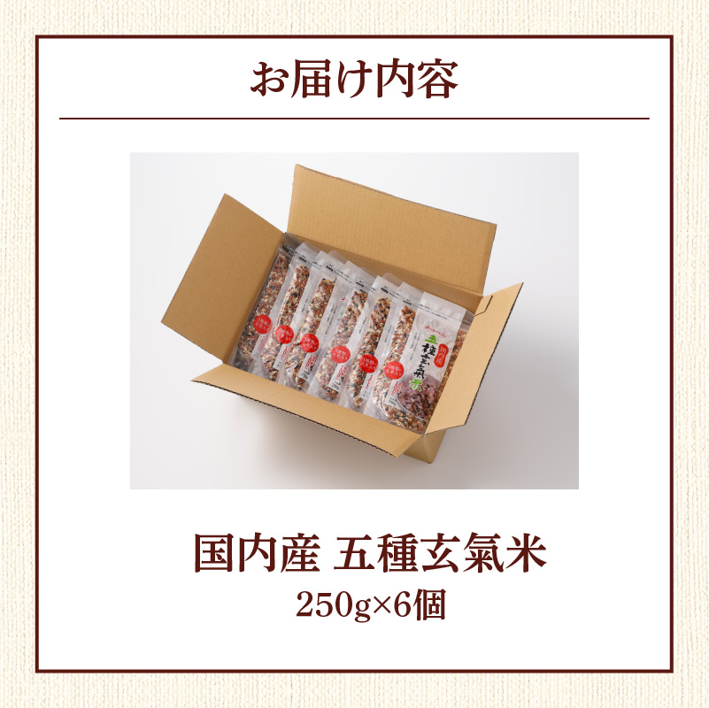 国内産 五種玄氣米 250g×6個 計1500g_国内産 五種玄氣米 250g×6個 お届け回数 1回 玄米 ブレンド 雑穀米 もち赤米 うるち玄米 もち玄米 もち黒米 もち緑米 プチプチ もちもち 混ぜて炊くだけ 冷めても美味しい 主食 おにぎり 弁当 食卓 華やか 福岡県 久留米市 送料無料_Gr010 1回お届け：6個