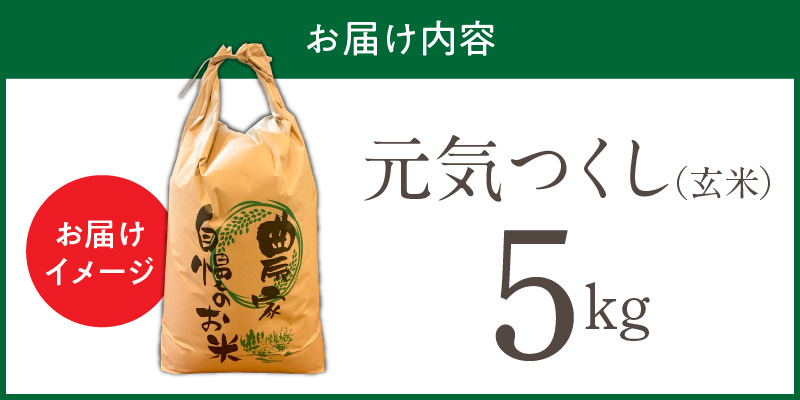 【令和7年産 新米】福岡県産ブランド米元気つくし 玄米 5kg_元気つくし 玄米 内容量 5kg 福岡県産 ブランド米 鮮度抜群 新鮮 福岡生まれ 品種 香り豊か ふっくら 食感 ご飯 おにぎり 弁当 お米 食品 お取り寄せ 九州 久留米産 福岡県 久留米市 送料無料_Gr067 5kg