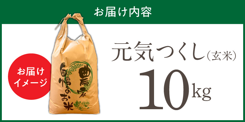 【令和7年産 新米】福岡県産ブランド米元気つくし 玄米 10kg_元気つくし 玄米 内容量 10kg 福岡県産 ブランド米 鮮度抜群 新鮮 福岡生まれ 品種 香り豊か ふっくら 食感 ご飯 おにぎり 弁当 お米 食品 お取り寄せ 九州 久留米産 福岡県 久留米市 送料無料_Gr068 10kg