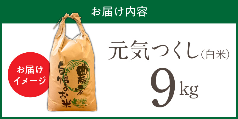 【令和7年産 新米】福岡県産ブランド米元気つくし 白米 9kg_元気つくし 白米 内容量 9kg 福岡県産 ブランド米 精米 鮮度抜群 新鮮 福岡生まれ 品種 香り豊か ふっくら 食感 ご飯 白ご飯 おにぎり 弁当 お米 食品 お取り寄せ 九州 久留米産 福岡県 久留米市 送料無料_Gr070 9kg