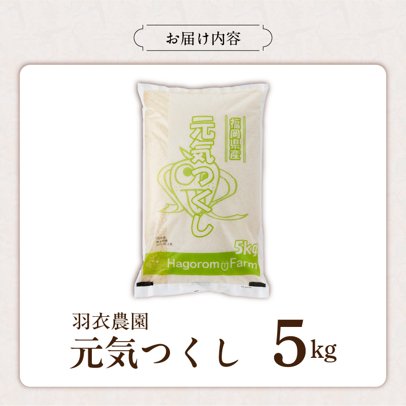 2025年新米  羽衣農園 元気つくし 白米 5kg _ 2025年 新米 福岡県産 精米 ブランド米 銘柄米 つやつや モチモチ 程よい粘り 冷めても美味しい ご飯 白ご飯 おにぎり 弁当 お米 食品 お取り寄せ 福岡県 久留米市 送料無料 _Gr074