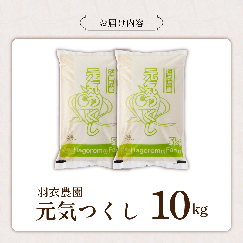 2025年新米 羽衣農園 元気つくし 白米 10kg（5kg×2） _ 2025年 新米 5kg × 2袋 計 10kg 福岡県産 精米 ブランド米 銘柄米 つやつや モチモチ 程よい粘り 冷めても美味しい ご飯 白ご飯 おにぎり 弁当 お米 食品 お取り寄せ 福岡県 久留米市 送料無料 _Gr075