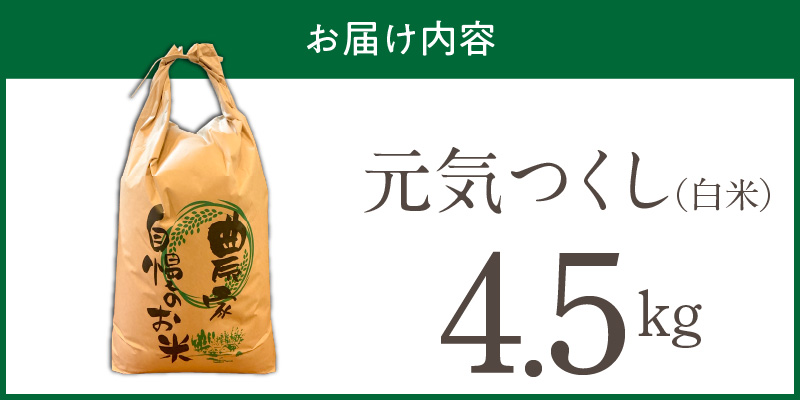 【2026年10月より順次発送】福岡県産ブランド米元気つくし 白米 4.5kg【令和8年産 新米】 _  元気つくし 4.5kg  福岡県産 ブランド米 精米 新米 福岡生まれ 品種 香り豊か ふっくら 食感 ご飯 白ご飯 おにぎり 弁当 お米 食品 お取り寄せ 九州 久留米市産 福岡県 久留米市 送料無料 _Gr086 1回
