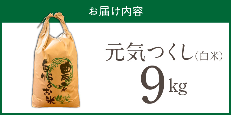【2026年10月より順次発送】福岡県産ブランド米元気つくし 白米 9kg【令和8年産 新米】 _  元気つくし 9kg  福岡県産 ブランド米 精米 新米 福岡生まれ 品種 香り豊か ふっくら 食感 ご飯 白ご飯 おにぎり 弁当 お米 食品 お取り寄せ 九州 久留米市産 福岡県 久留米市 送料無料 _Gr087 1回