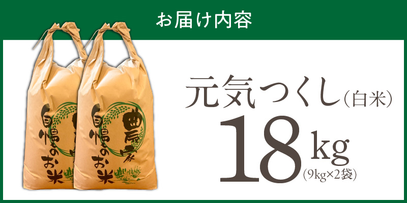 【2026年10月より順次発送】福岡県産ブランド米元気つくし 白米 18kg【令和8年産 新米】 _  元気つくし 18kg  福岡県産 ブランド米 精米 新米 福岡生まれ 品種 香り豊か ふっくら 食感 ご飯 白ご飯 おにぎり 弁当 お米 食品 お取り寄せ 九州 久留米市産 福岡県 久留米市 送料無料 _Gr088 1回