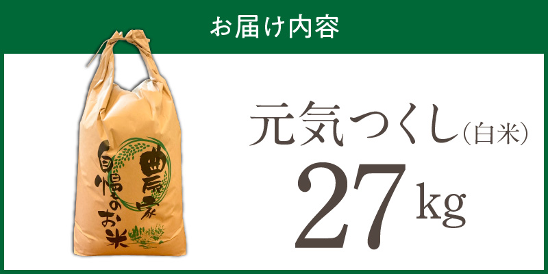 【2026年10月より順次発送】福岡県産ブランド米元気つくし 白米 27kg【令和8年産 新米】 _  元気つくし 27kg  福岡県産 ブランド米 精米 新米 福岡生まれ 品種 香り豊か ふっくら 食感 ご飯 白ご飯 おにぎり 弁当 お米 食品 お取り寄せ 九州 久留米市産 福岡県 久留米市 送料無料 _Gr089 1回