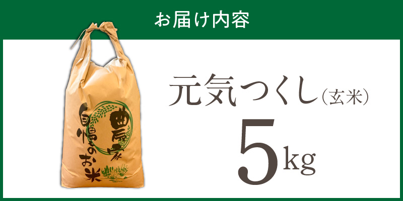 【2026年10月より順次発送】福岡県産ブランド米元気つくし 玄米 5kg【令和8年産 新米】 _  元気つくし 5kg 福岡県産 ブランド米 新米 福岡生まれ 品種 香り豊か ふっくら 食感 ご飯 おにぎり 弁当 お米 食品 お取り寄せ 九州 久留米市産 福岡県 久留米市 送料無料 _Gr090 1回