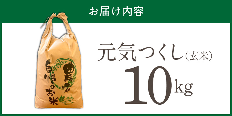【2026年10月より順次発送】福岡県産ブランド米元気つくし 玄米 10kg【令和8年産 新米】 _  元気つくし 10kg 福岡県産 ブランド米 新米 福岡生まれ 品種 香り豊か ふっくら 食感 ご飯 おにぎり 弁当 お米 食品 お取り寄せ 九州 久留米市産 福岡県 久留米市 送料無料 _Gr091 1回