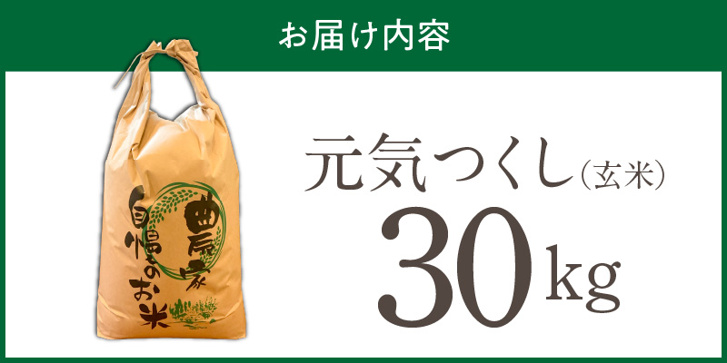 【2026年10月より順次発送】福岡県産ブランド米元気つくし 玄米 30kg【令和8年産 新米】 _  元気つくし 30kg 福岡県産 ブランド米 新米 福岡生まれ 品種 香り豊か ふっくら 食感 ご飯 おにぎり 弁当 お米 食品 お取り寄せ 九州 久留米市産 福岡県 久留米市 送料無料 _Gr093 1回