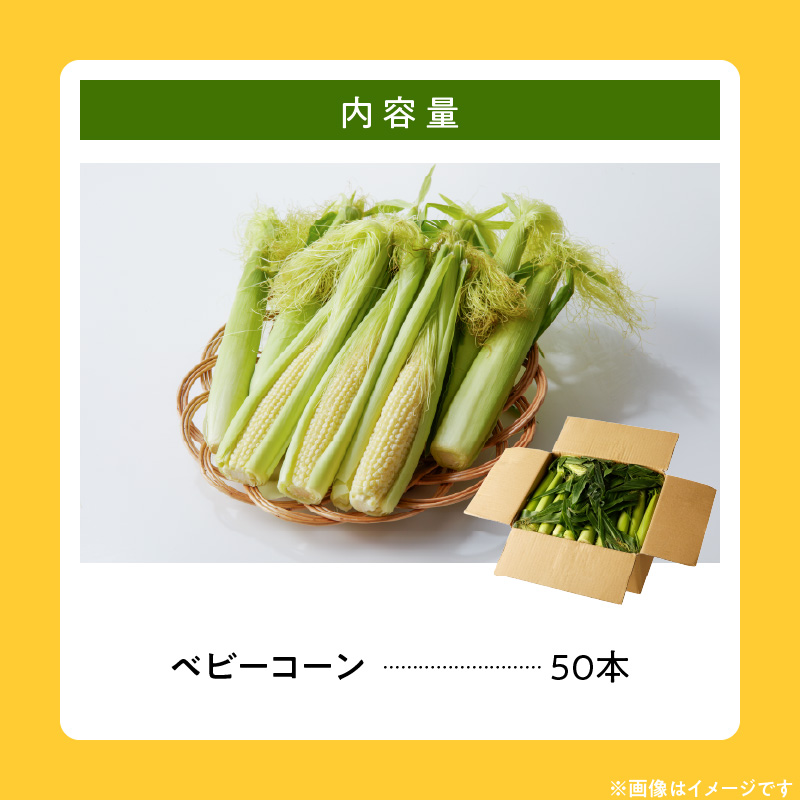 【ふくおかエコ農産物認証】農家直送！SDGs米糠堆肥で作ったベビーコーン50本【2026年5月より順次出荷】_ふくおかエコ農産物 2026年5月より順次出荷 農家直送 ベビーコーン とうもろこし 50本 メロンより 甘い プレミアムコーン シャキシャキ 食感 旬の味 八宝菜 サラダ 野菜 オーブン焼き レンチン お取り寄せ 酒見農産 福岡県 久留米市 送料無料_Gv036
