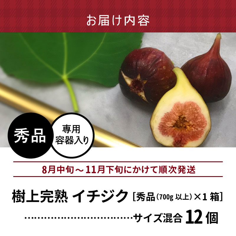 SDGs米糠循環農法で育てた樹上完熟イチジク秀品700g以上（サイズ混合12個）潰れにくいイチジク専用容器入り【産地直送2026年8月より順次出荷】_イチジク秀品700ｇ以上 （サイズ混合12個） SDGs 米糠循環農法 樹上完熟 桝井ドーフィン イチジクケーキ ジャム ジェラート ジュース ドライフルーツ 潰れにくい イチジク専用容器 入り 宙吊り包装 ギフト 福岡 久留米 送料無料_Gv040