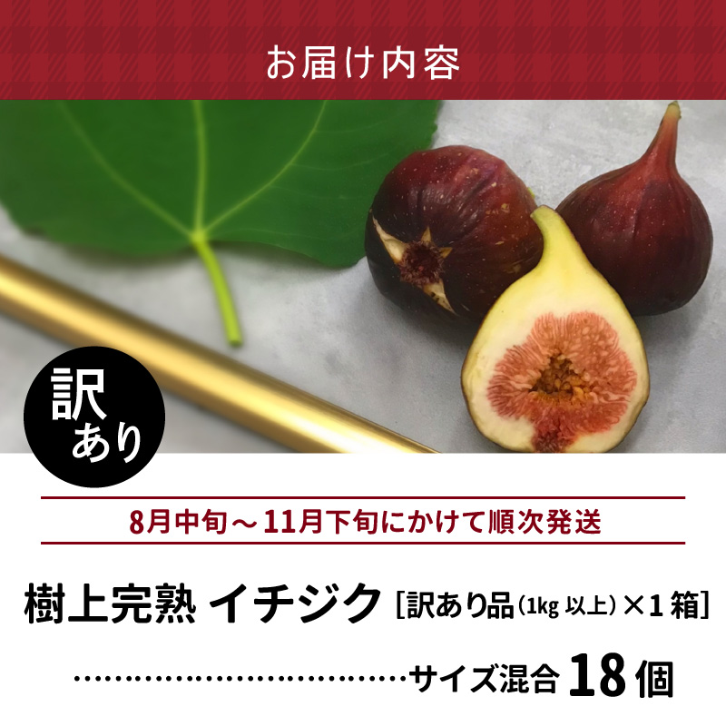 SDGs米糠循環農法で育てた樹上完熟イチジク　訳あり品1キロ以上（サイズ混合18個）【産地直送2026年8月より順次出荷】_SDGs 米糠循環農法 樹上完熟 イチジク 訳あり品 1キロ 以上 サイズ 混合 18個 農家直送 露地栽培 桝井ドーフィン ドライフルーツ ジャム スムージー 福岡県 久留米市 酒見農産 お取り寄せグルメ お取り寄せ 送料無料_Gv042