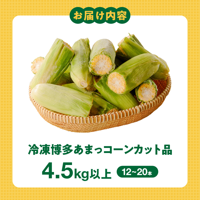 冷凍便！旬の時期に冷凍したSDGs米堆肥で作った博多あまっコーンカット品 4.5キロ以上（12～20本） _ 博多あまっコーン カット 4.5キロ以上 12 ～ 20本 カット品 とうもろこし 国産 冷凍 メロンより甘い プレミアムコーン ふくおかエコ農産物 コーン フルーツのような甘さ 野菜 酒見農産 お取り寄せ 福岡県 久留米市 送料無料 _Gv051