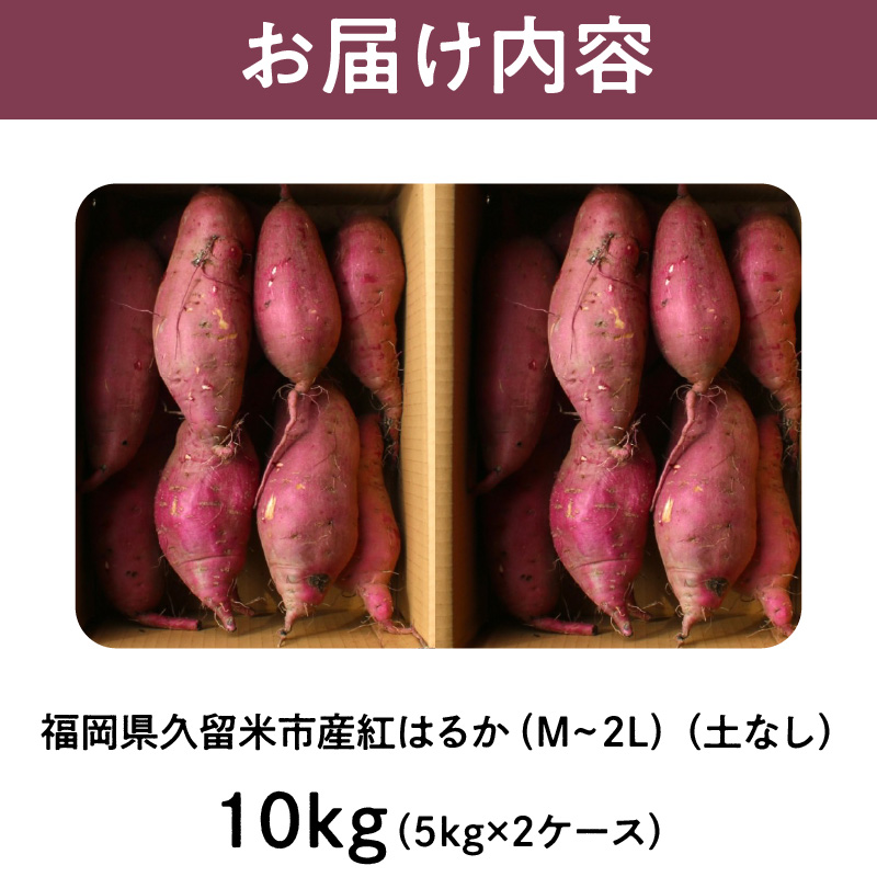 福岡県久留米市産 長期熟成紅はるか 10kg M～2L 土なし: 久留米市ANAのふるさと納税