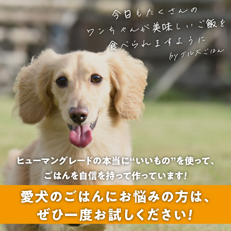 ペットフード 無添加ドッグフード・ブルズごはんCUBEタイプ 300g×1袋(馬)_CUBE型 20個入×1袋 無添加ドッグフード 1袋300g 馬肉 国産 手作り アレルギー ウェット 子犬 シニア犬 冷凍 ヒューマングレード 老犬 小型犬 お試し 選べる ペットフード ブルズごはん_Pf001-1 馬（300g×1袋）