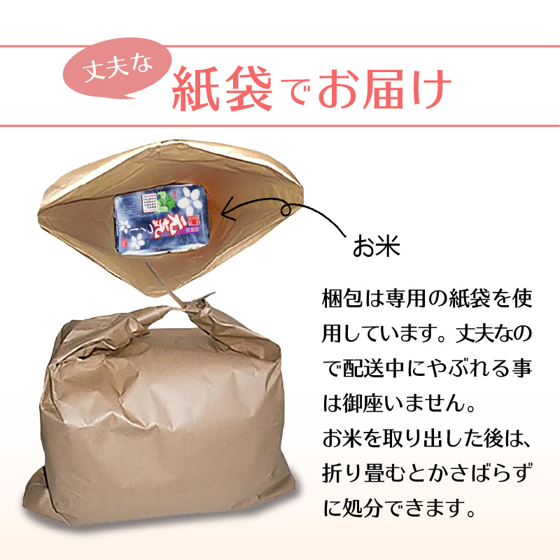 【3回定期便】令和5年産　無洗米　福岡県産元気つくし