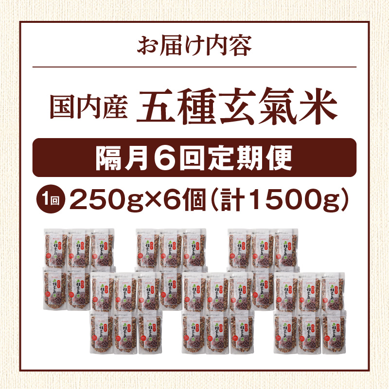 【隔月6回　定期便】国内産 五種玄氣米 250g×6個 1500g×6回_国内産 五種玄氣米 250g×6個 お届け回数 6回 玄米 ブレンド 雑穀米 もち赤米 うるち玄米 もち玄米 もち黒米 もち緑米 プチプチ もちもち 混ぜて炊くだけ 冷めても美味しい 主食 おにぎり 弁当 食卓 華やか 福岡県 久留米市 送料無料_Tk026 定期便：（2ヶ月に一度）×6回
