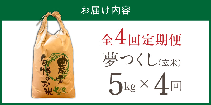 【定期便4回】【令和8年産 新米】福岡県産ブランド米夢つくし 玄米 5kg×4回 _ 【令和8年産 新米】 夢つくし 5kg 4回 定期便 福岡県産 久留米産 ブランド米 品種 艷やか 光沢 やわらかい 食感 米 ご飯 おにぎり 弁当 食品 お取り寄せ 福岡県 久留米市 送料無料 _Tk107-04 4回