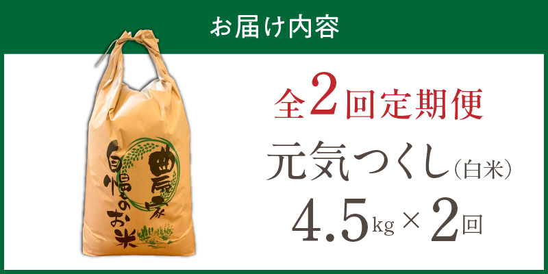 【定期便2回】【令和8年産 新米】福岡県産ブランド米元気つくし 白米 4.5kg×2回 _  元気つくし 4.5kg  お届け回数 2回 定期便 福岡県産 ブランド米 精米 新米 福岡生まれ 品種 香り豊か ふっくら 食感 ご飯 白ご飯 おにぎり 弁当 お米 食品 お取り寄せ 九州 久留米市産 福岡県 久留米市 送料無料 _Tk111-02 2回