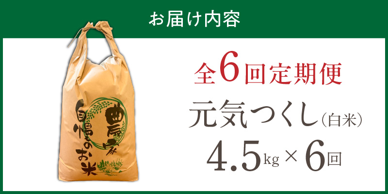 【定期便6回】【令和8年産 新米】福岡県産ブランド米元気つくし 白米 4.5kg×6回 _  元気つくし 4.5kg  お届け回数 6回 定期便 福岡県産 ブランド米 精米 新米 福岡生まれ 品種 香り豊か ふっくら 食感 ご飯 白ご飯 おにぎり 弁当 お米 食品 お取り寄せ 九州 久留米市産 福岡県 久留米市 送料無料 _Tk111-06 6回