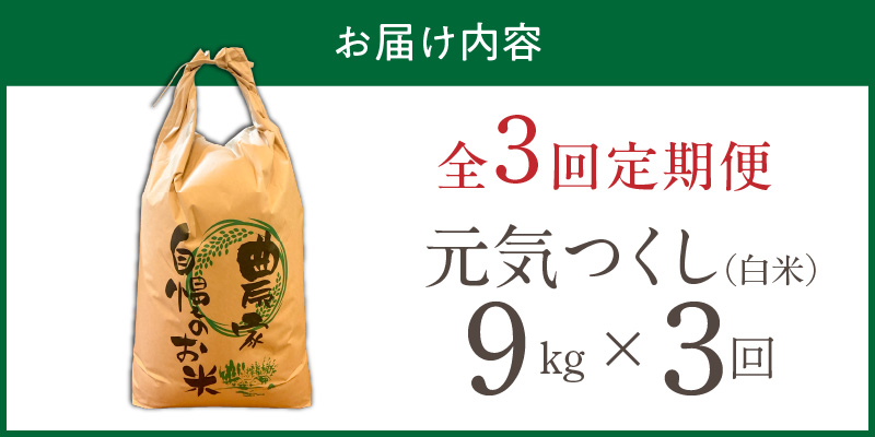 【定期便3回】【令和8年産 新米】福岡県産ブランド米元気つくし 白米 9kg×3回 _  元気つくし 9kg  お届け回数 3回 定期便 福岡県産 ブランド米 精米 新米 福岡生まれ 品種 香り豊か ふっくら 食感 ご飯 白ご飯 おにぎり 弁当 お米 食品 お取り寄せ 九州 久留米市産 福岡県 久留米市 送料無料 _Tk112-03 3回