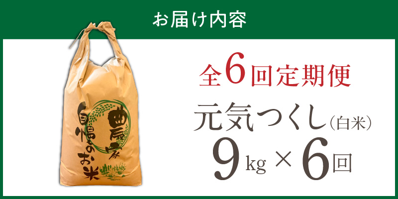 【定期便6回】【令和8年産 新米】福岡県産ブランド米元気つくし 白米 9kg×6回 _  元気つくし 9kg  お届け回数 6回 定期便 福岡県産 ブランド米 精米 新米 福岡生まれ 品種 香り豊か ふっくら 食感 ご飯 白ご飯 おにぎり 弁当 お米 食品 お取り寄せ 九州 久留米市産 福岡県 久留米市 送料無料 _Tk112-06 6回